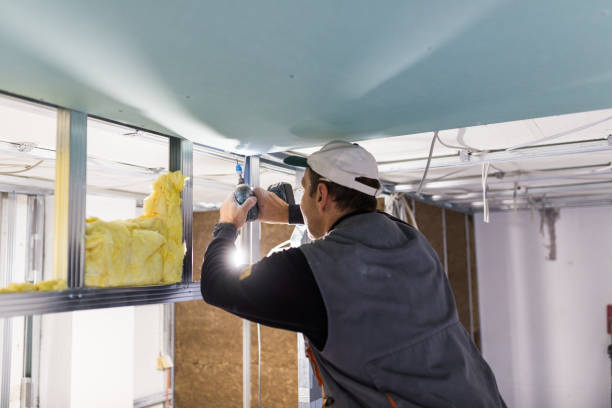 Best Blown-in Insulation in Daleville, IN