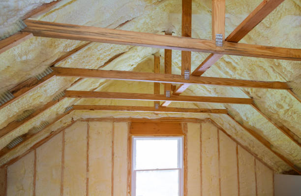 Best Commercial Insulation in Daleville, IN
