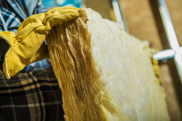 Best Insulation Maintenance and Repair in Daleville, IN