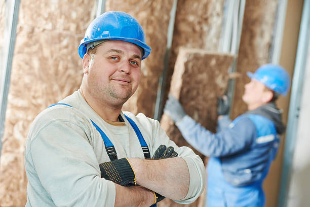 Best DIY Insulation Kits and Guidance in Daleville, IN